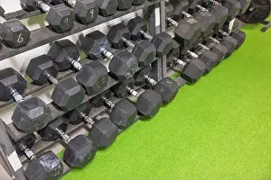 Barbell Prints: Close-up look at racks holding dumbbells of varying weights for comprehensive training experience