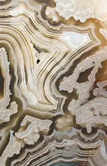 Jewelry Prints: Close-up shot of a cross-section of agate stone showcasing intricate layered patterns in varying shades of brown