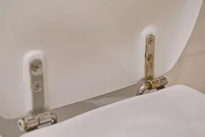 Plumbing Prints: Close-up of a toilet seat hinge showing rust and wear