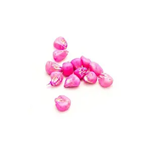 Insecticide Prints: Close-up treated red corn seeds ready for planting in GMO concept