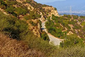 Griffith Park Prints: Close-up view of a winding road surrounded by dense vegetation in Griffith Park