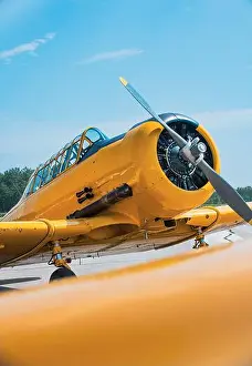 Fuselage Prints: close-up view of a yellow vintage warbird