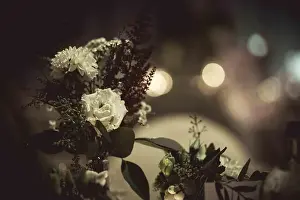 Beautiful Woman Prints: close up of white flower on a table