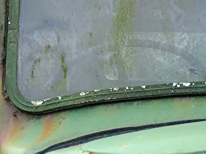 close up of the windscreen of an old abandoned pick up truck with the steering wheel visible through stained moss