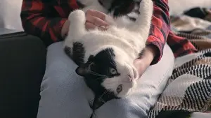 Care Home Prints: Close up woman holds a cat in her arms