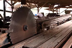Sawdust Prints: Closed sawmill with large saw blade