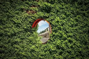 Road Intersection Prints: Closeup of a circular safety road mirror partially covered by a green hedge. Italy, Europe