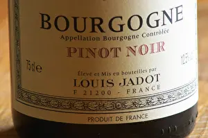 Wine Bottle Prints: Closeup close-up of a wine bottle label Maison Louis Jadot Bourgogne Pinot Noir Appellation Bourgogne Controlee