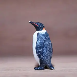 Small Animal Prints: A closeup shot of a mini penguin toy figure on a wooden surface