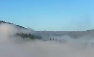 High Hill Prints: Above the clouds View of pine trees under fog on Carpathian mountains