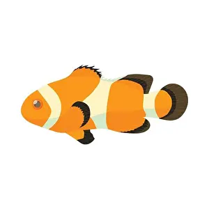 Clown Fish Prints: Clown fish icon, cartoon style