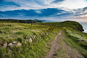 Cliffs Prints: Coastal path, Ynys Barry, Abereiddy, Pembrokeshire, Dyfed, Wales, United Kingdom