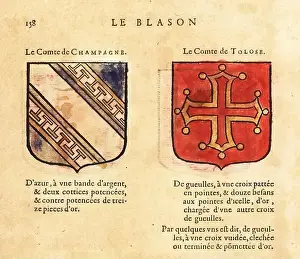 Chivalry Prints: Coats of arms of the Count of Champagne
