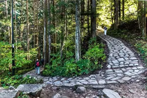 Negative Space Prints: A cobbled section of the historic Nakasendo hiking trail through the Sugi Forest between Tsumago and Magome