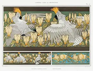 Public Domain Prints: Cockatoo / Illustration from L'animal dans la decoration (1897) by Maurice Pillard Verneuil