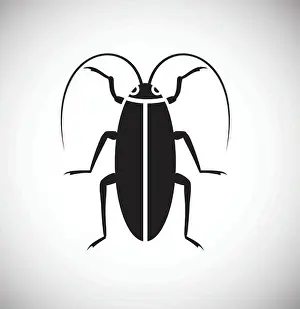 Insecticide Prints: Cockroach Insect icon on white background for graphic and web design