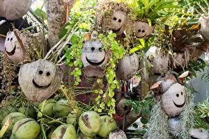 Coco Prints: a coconut drink shop at the Mekong River in the town of Sop Ruak in the golden triangle in the north of the city Chiang