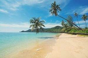 Images Dated 10th December 2017: Coconut palm tree over summer beach sea in Phuket, Thailand. Summer, Travel