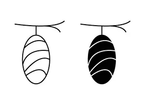 Chrysalis Prints: Cocoon icon Black line art vector in black and white outline set collection sign