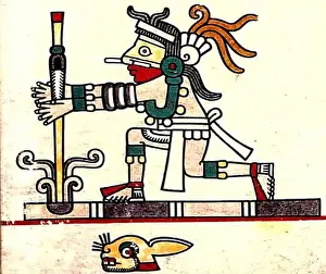 Codex Laud p.17 detail Amamalocotl
