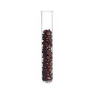 Grade Prints: Coffee beans in a test tube, studio shot