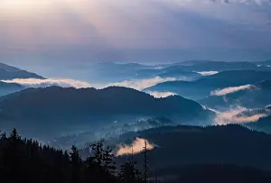 Low Clouds Prints: Cold cloudy rainy weather over low hills covered with spruce evergreen forests in Rhodope Mountains against backdrop of