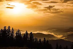 Low Clouds Prints: Cold cloudy rainy weather over low hills covered with spruce evergreen forests in Rhodope Mountains against backdrop of