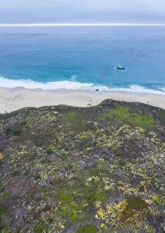The cold, nutrient-rich waters of the North Pacific Ocean wash against a scenic beach in Northern California not far from Monterey