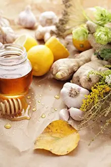 Alternative Medicine Prints: cold virus, house appropriations, flu, influenza, house appropriation