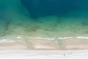 Great White Sharks Prints: The cold waters of the Atlantic Ocean bathe a scenic beach on Cape Cod