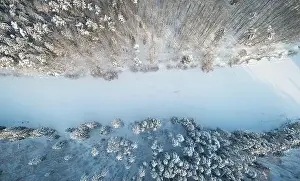 Snowy Trees Prints: Cold winter background theme. Frozen river above drone view