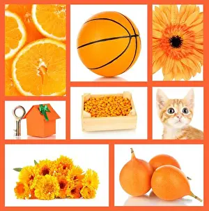 Homeopathy Prints: Collage of photos in orange color