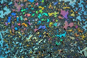 Optics Prints: A collage of spectral color formed by motor oil and rain water on an asphalt road
