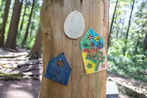 Arbol Prints: Collection of birdhouses made by children and placed on fallen trees in the forest