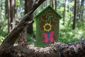 Arbol Prints: Collection of birdhouses made by children and placed on fallen trees in the forest