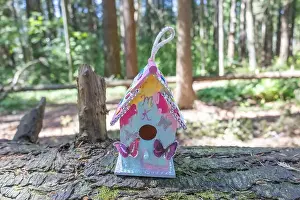 Arbol Prints: Collection of birdhouses made by children and placed on fallen trees in the forest