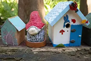 Arbol Prints: Collection of birdhouses made by children and placed on fallen trees in the forest