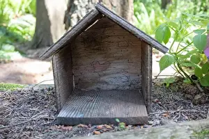 Arbol Prints: Collection of birdhouses made by children and placed on fallen trees in the forest