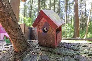 Arbol Prints: Collection of birdhouses made by children and placed on fallen trees in the forest