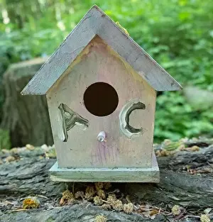 Arbol Prints: Collection of birdhouses made by children and placed on fallen trees in the forest