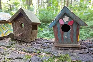 Arbol Prints: Collection of birdhouses made by children and placed on fallen trees in the forest