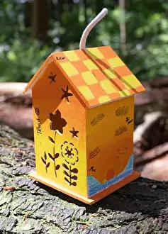 Arbol Prints: Collection of birdhouses made by children and placed on fallen trees in the forest