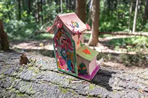 Arbol Prints: Collection of birdhouses made by children and placed on fallen trees in the forest
