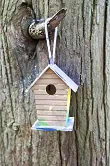 Arbol Prints: Collection of birdhouses made by children and placed on fallen trees in the forest