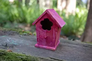 Arbol Prints: Collection of birdhouses made by children and placed on fallen trees in the forest