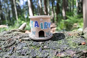 Arbol Prints: Collection of birdhouses made by children and placed on fallen trees in the forest