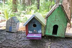 Arbol Prints: Collection of birdhouses made by children and placed on fallen trees in the forest