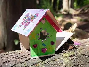 Arbol Prints: Collection of birdhouses made by children and placed on fallen trees in the forest