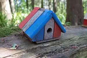 Arbol Prints: Collection of birdhouses made by children and placed on fallen trees in the forest