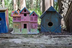 Arbol Prints: Collection of birdhouses made by children and placed on fallen trees in the forest